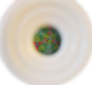 KX147017611