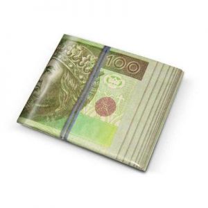 EKO portfel z Tyveku PLN